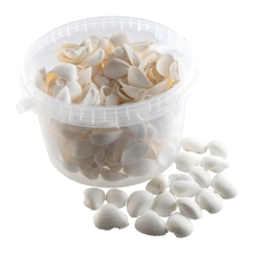 White Shells 2.5L Tub 